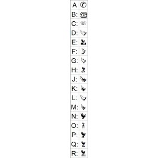 C